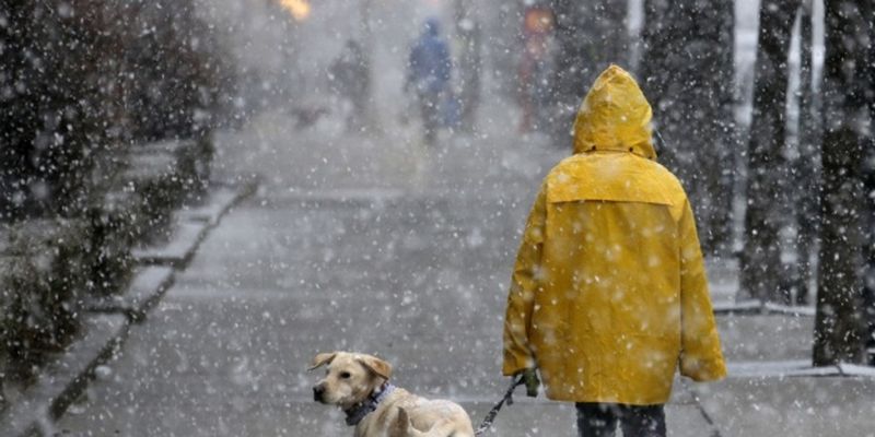 Украинцам прогнозируют сильный ветер, мокрый снег и до 10° мороза