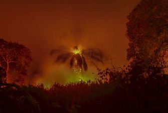 Темпы распространения пожаров в Амазонии побили 13-летний рекорд