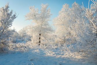 Экстремальные "минусы": синоптики предупредили о снегопаде в Украине