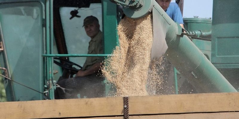 В Винницкой области непогода замедлила темпы уборки ранних зерновых