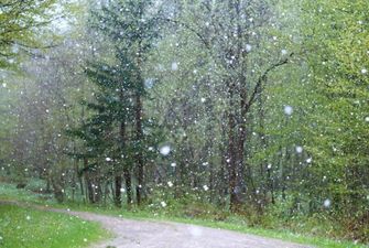 Тиждень похолодання, дощів та навіть мокрого снігу: прогноз погоди на 12-18 квітня