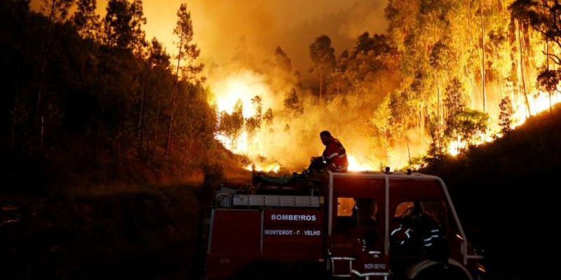 В Португалии взяли под контроль масштабные лесные пожары