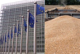 Евросоюз введет пошлины на российское и белорусское зерно, - Politico