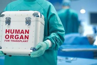 В институте Шалимова в прошлом году выполнили более 80 пересадок органов
