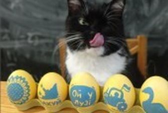У кота Степана з‘явився конкурент: кіт Бандера показав писанки до Великодня