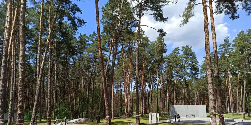 8 гектаров леса в Быковне под военное кладбище? Эксперт объяснил незаконность действий власти