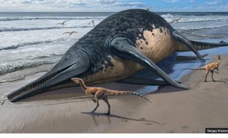 Гигантский морской монстр: ученые обнаружили самую древнюю рептилию, которая когда-либо существовала
