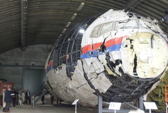MH17: родственники погибших просят суд установить роль россии в трагедии
