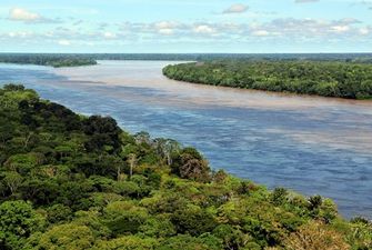 Ліси Амазонки на 38% зруйновано людьми – вчені