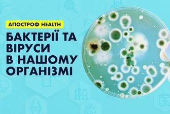 Бактерии и вирусы в жизни человека: как защитить себя от опасной угрозы