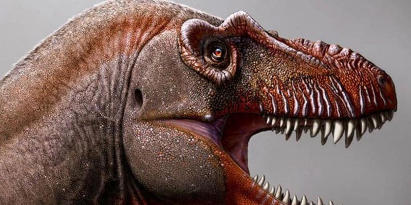 Сильнее тираннозавров: ученые обнаружили останки нового динозавра