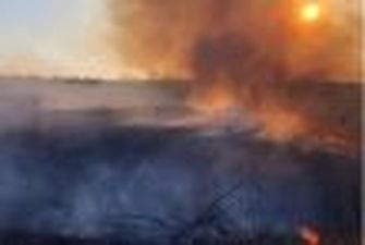 Озвучен неутешительный прогноз по пожарам в Украине