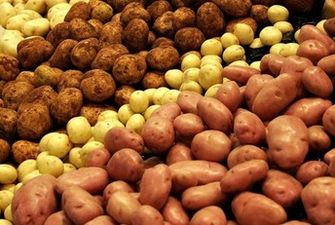 Минюст против Минобороны: кто выиграет картофельное соревнование