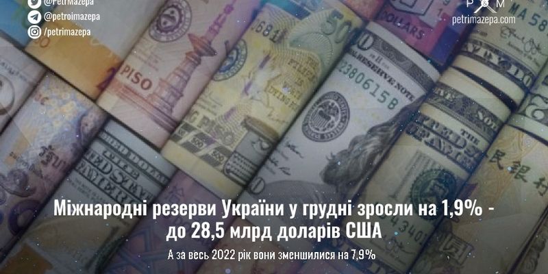 Міжнародні резерви України у грудні зросли на 1,9% - до 28,5 млрд доларів США