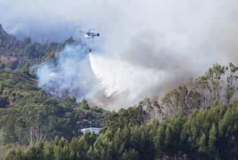 Пожежі на Канарах: влада заявила про безпрецедентну екологічну трагедію