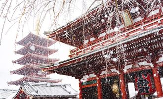 Токио впервые за несколько лет засыпало снегом