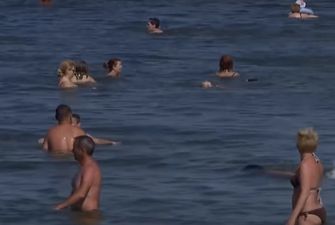 У Азовському морі нашестя морських бліх: в чому небезпека їх укусів
