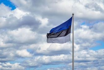 В Эстонии ответили, будут ли разрывать дипотношения с РФ