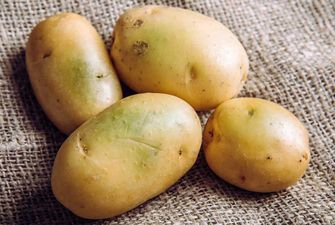 Врач раскрыл полезные свойства обычного картофеля