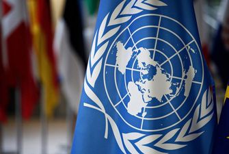«Тотальная украинизация»: ООН призвала Украину принять закон о защите нацменьшинств и коренных народов