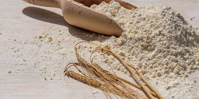 Стан пшениці має гарні передумови для виробництва якісного борошна — експерт