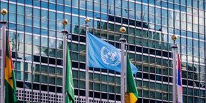 Двух сотрудников ООН отстранили от работы из-за секса в автомобиле организации