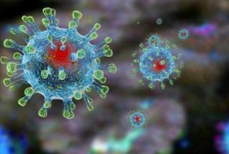 В Китае предсказали, когогда наступит пик эпидемии коронавируса