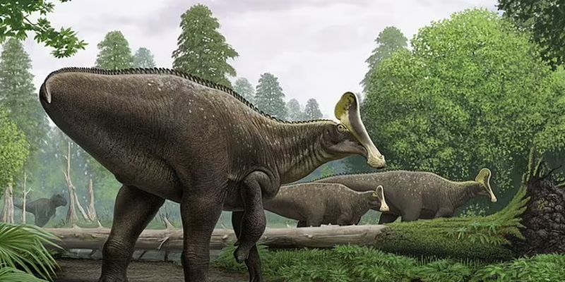 Обнаружены вены динозавра, жившего 80 млн лет назад: они до сих пор заполнены кровью