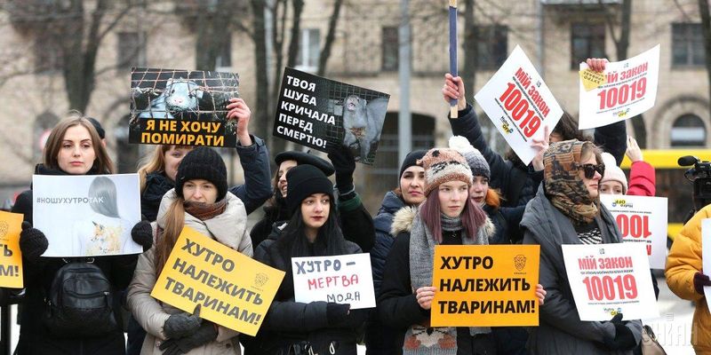 Депутати пропонують вдосконалити правове регулювання виробництва хутра в Україні