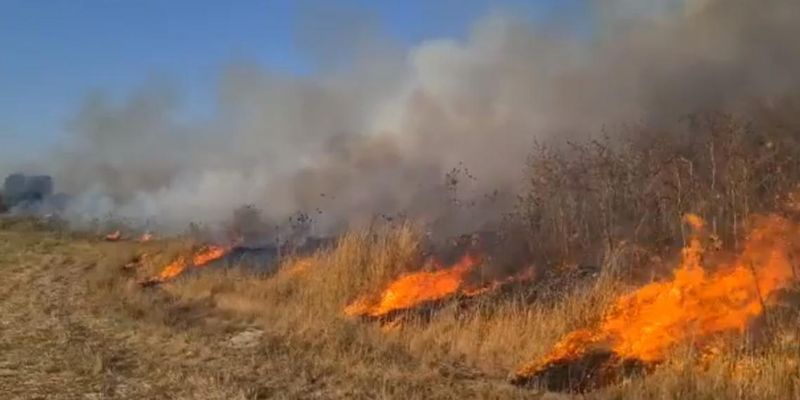 В Израиле из-за аномальной жары начались пожары