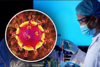 Новое открытие сделали ученые о коронавирусе