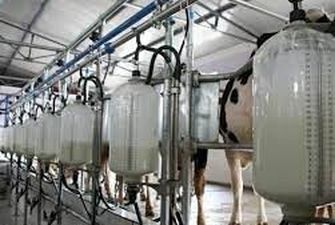 Молочная отрасль в Украине из-за войны потеряла почти 1 млн тонн молока