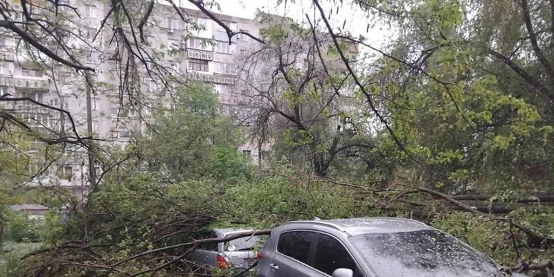 В Одессе бушует непогода: власти обратились к населению