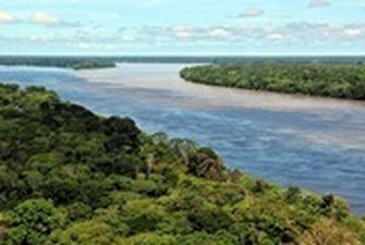 В Бразилии зафиксированы рекордные показатели вырубки леса - СМИ