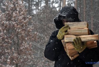 Жителям Запорожской области советуют запастись на зиму дровами и топливными брикетами