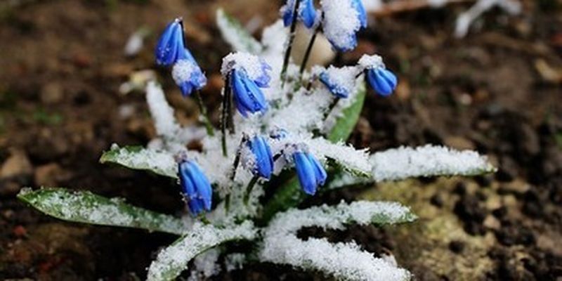 Весна начинает брать "власть" в свои руки: синоптик назвала дату потепления в Украине