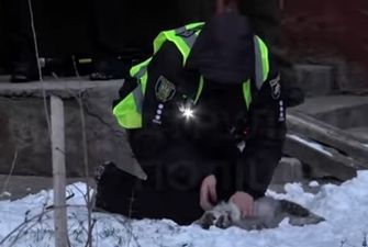 Во Львове патрульные спасли кошку от гибели, трогательное видео
