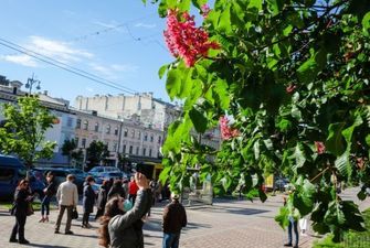 Коронавірус в Україні 22 травня: чому половину країни залишили "жорсткому" на карантині
