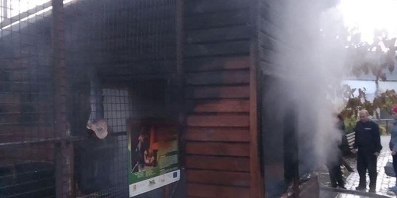 В луцком зоопарке пожар: погибли животные