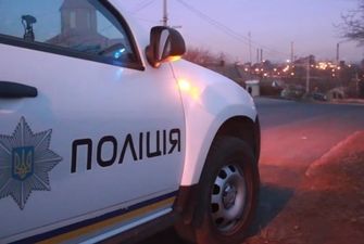 В Запорожье полицейские избили водителя