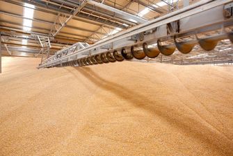 росія викрала української пшениці на понад $1 млрд