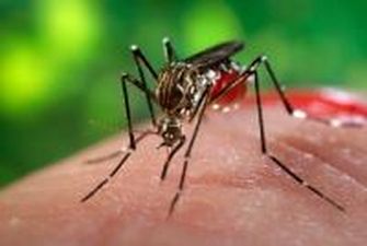 Жертвами лихорадки денге на Филиппинах стали более 800 человек