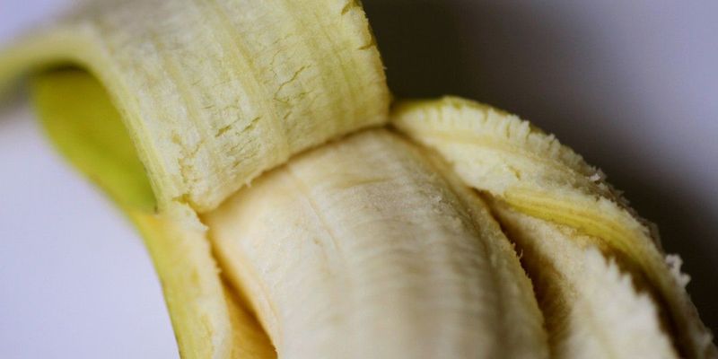 У США художник з'їв приклеєний скотчем до стіни банан вартістю 120 тисяч доларів