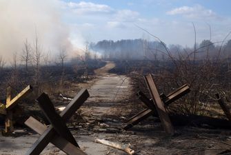 Триллионы гривен: в Минэкологии назвали сумму ущерба экологии Украины от войны с РФ