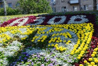 В Киеве создали цветочное панно, посвященное полку "Азов"