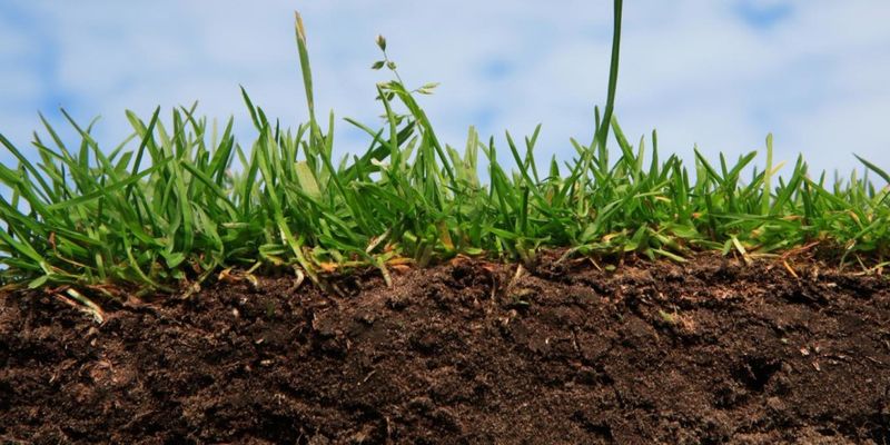 Для качественного орошения украинских полей нужна система дренажирования почвы - аграрий