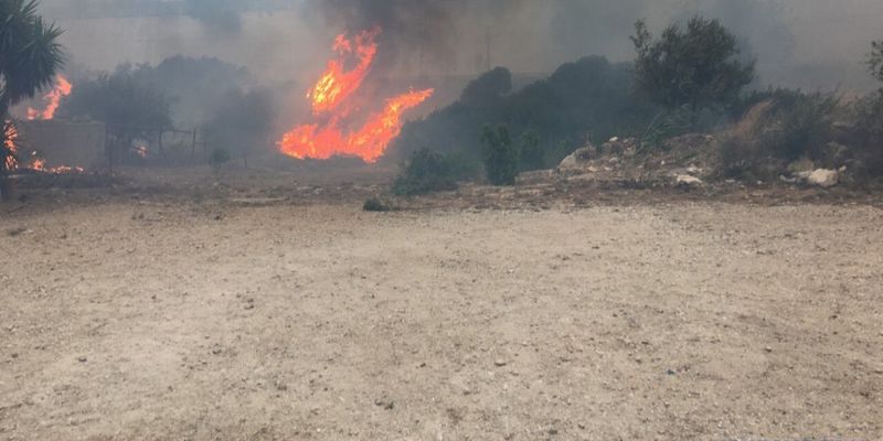 Погибших в результате июльских пожаров в Греции уже 100 человек