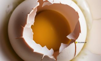 Не выбрасывайте яичную скорлупу: несколько полезных способов ее использовать