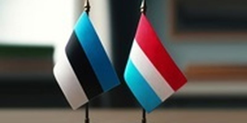 Эстония и Люксембург внесли дополнительные взносы в ИТ-коалицию