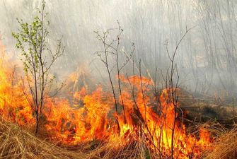 На большинстве территории Украины будет преобладать чрезвычайная пожарная опасность пятого класса - ГСЧС